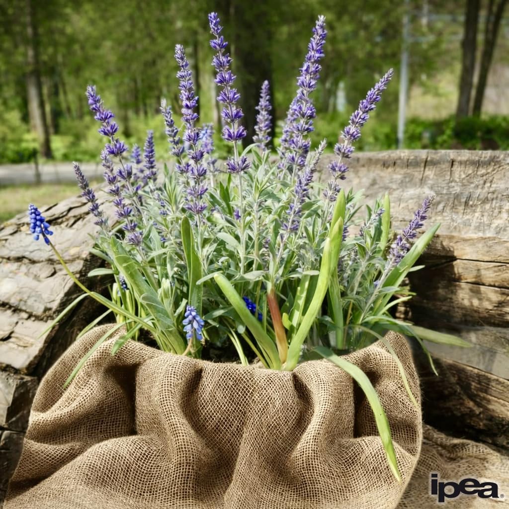 IPEA Tela in Juta Naturale al 100% – [ Grandezza 140 x 120 cm ] – Tessuto in Vera Iuta – Telo per Tappezzeria, Decorazioni, Accessori, Feste, Creazioni, Fai da Te – Fibra Naturale – Ideale per Eventi