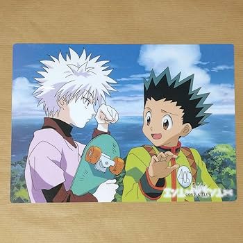 ハンターハンター キルア ゴン コロッタ Amazon.co.jp: HUNTER×HUNTER