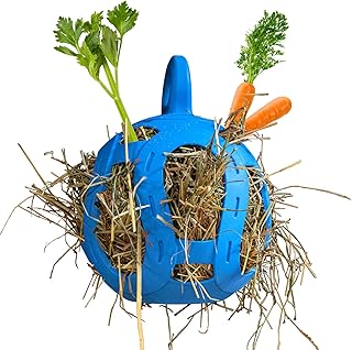 Stall Toys For Horses Picks collage image 1