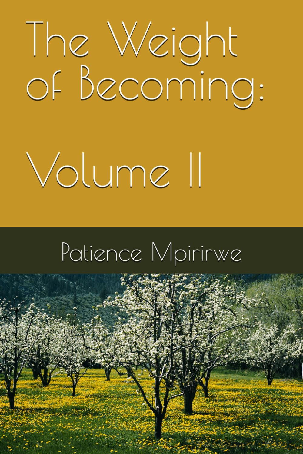 The Weight of Becoming: Volume II: When Everything Changed