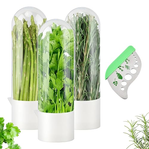 3Pcs Refrigerator Herb Keeper Containers,Herb Saver Jars with Herb Stripper