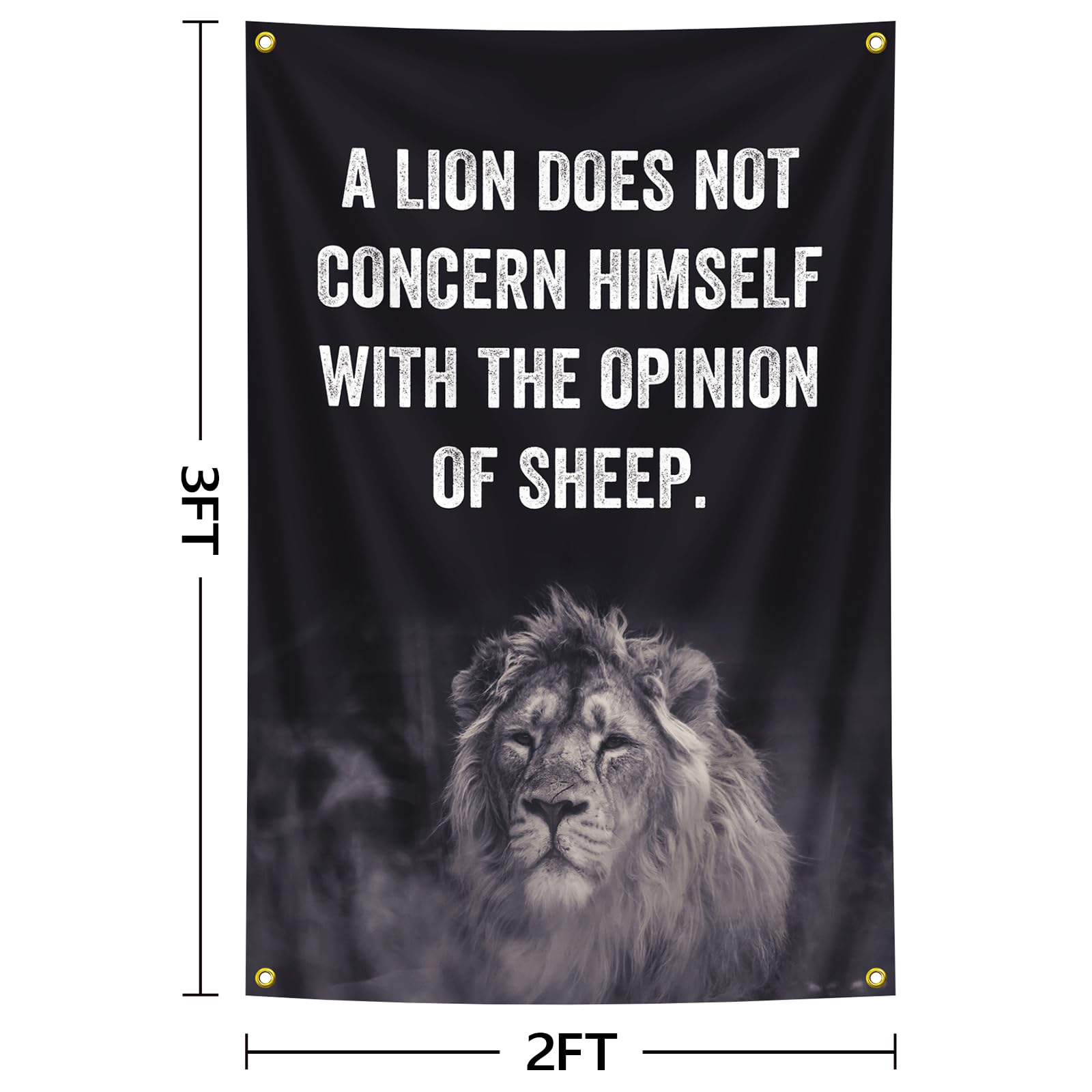 Amazon.com : A Lion Does Not Concern Himself with The Opinion of