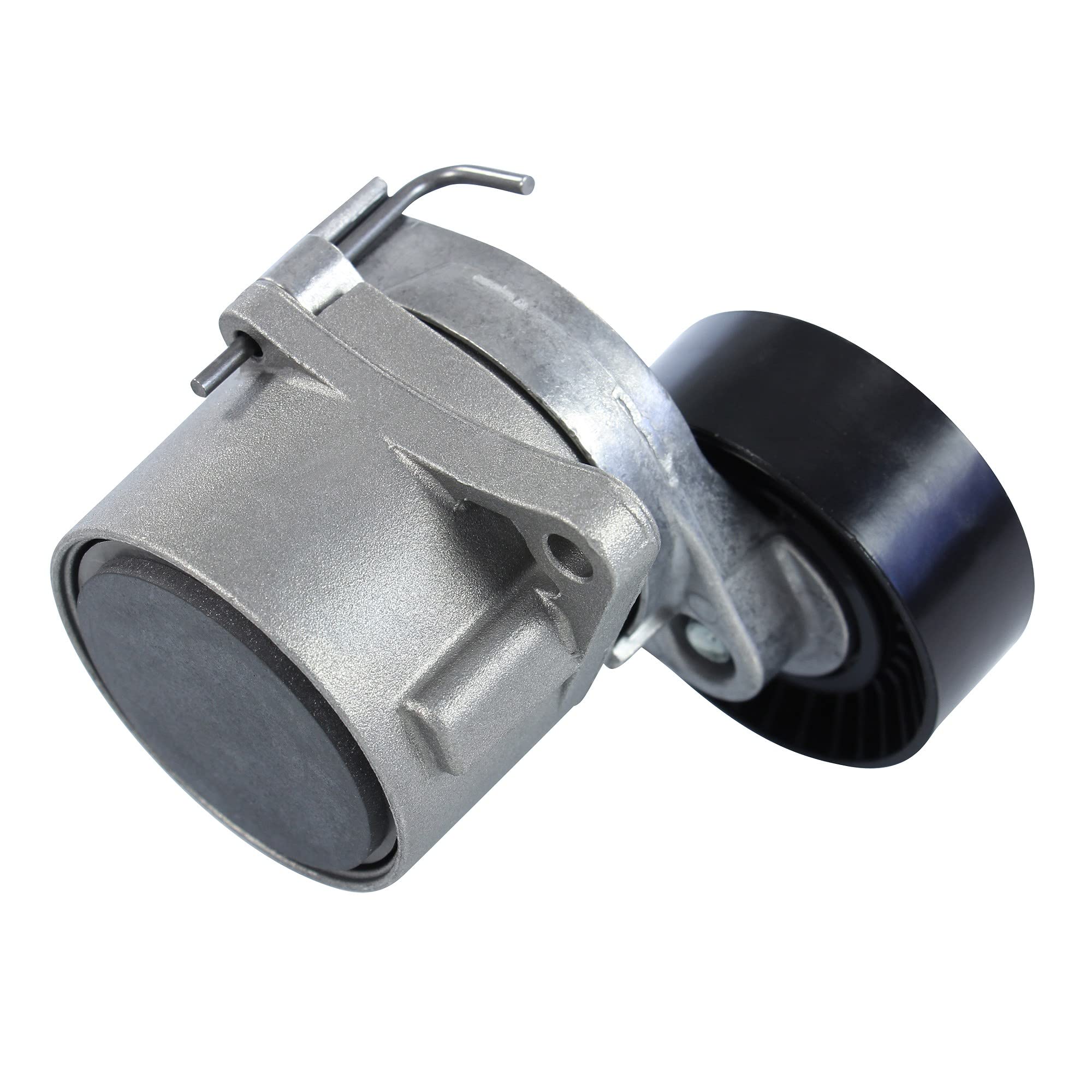 Contitech – 6pk2260 K1 correa de distribución
