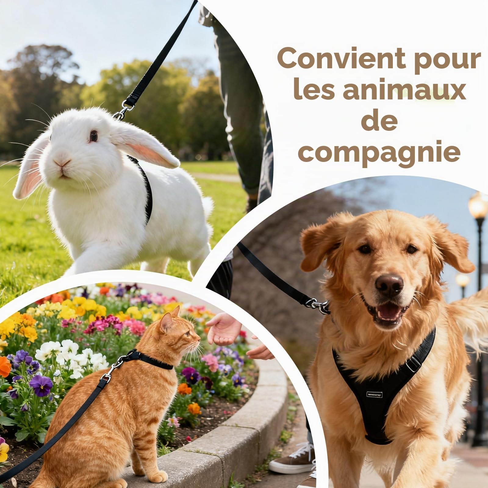 Laisse double rétractable pour chien, laisse enroulable avec lumière LED, laisse double extensible pour 2 chiens, laisse flexible 3M, poignée antidérapante, bouton de frein rapide pour chiens de