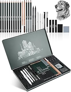 Kit de Ferramentas Profissionais para Desenho