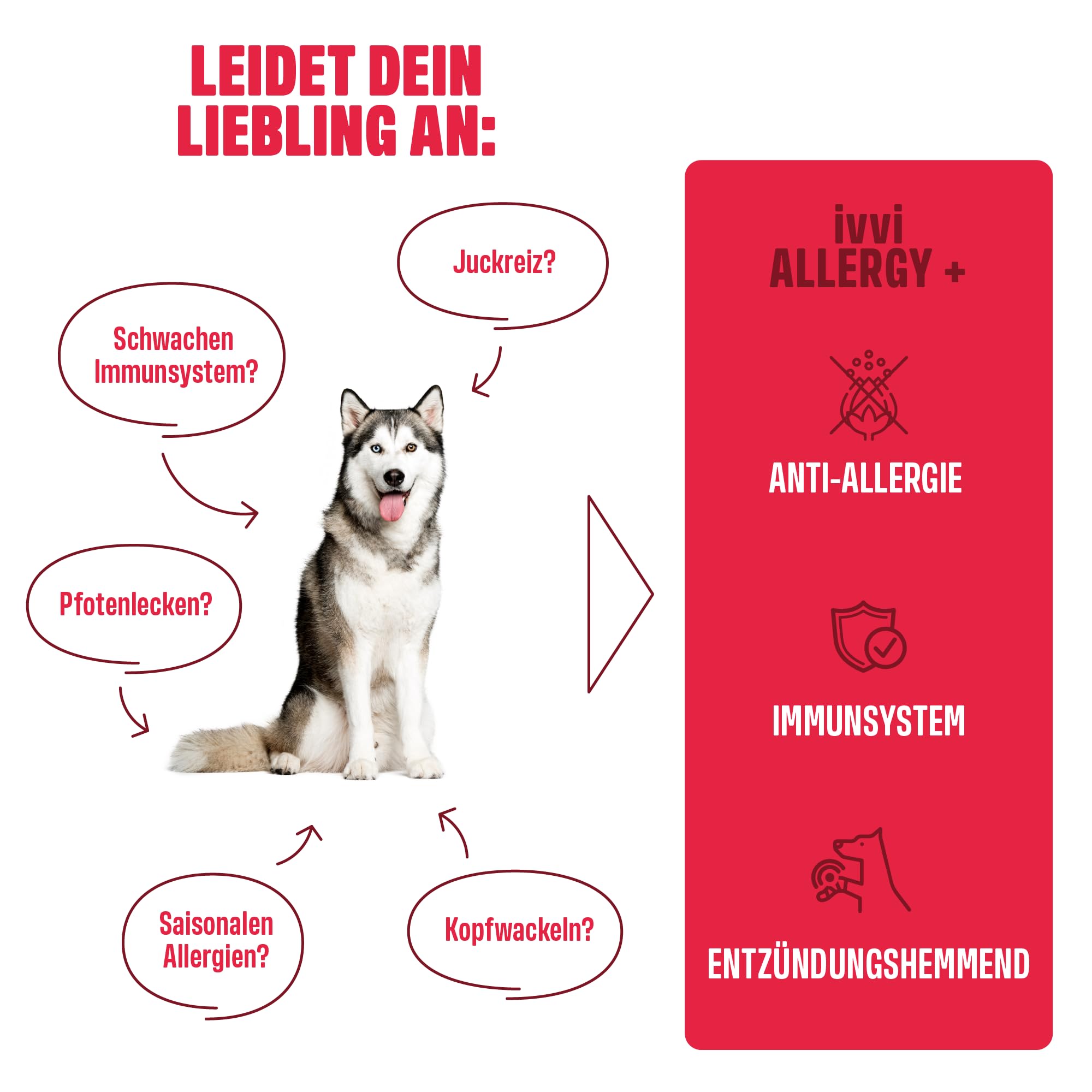 ivvi Allergy Immunity für Hunde – gegen Allergien & Juckreiz und zur Stärkung des Immunsystems - 60 leckere Snacks (270g) mit Lachs