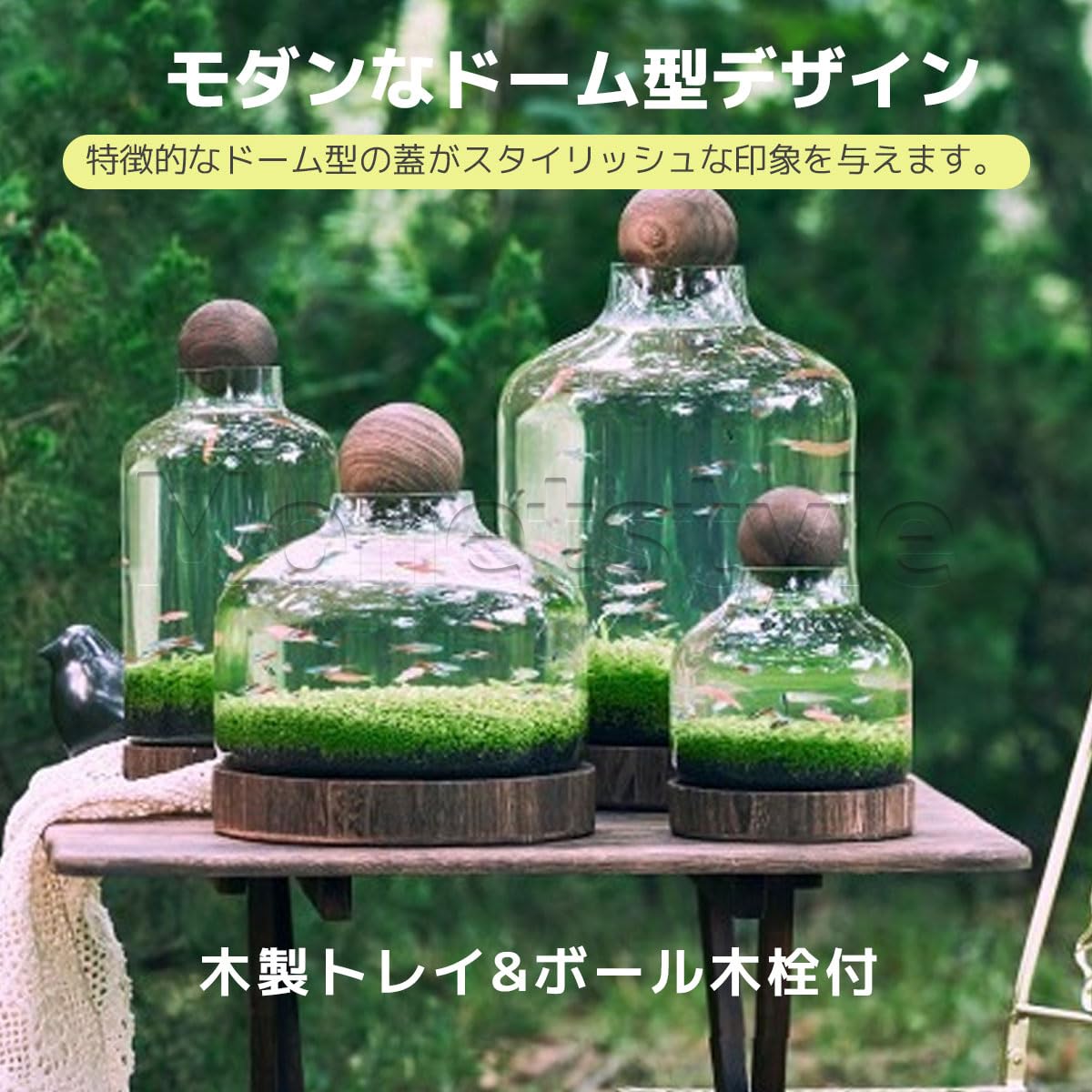 Amazon | モダンガラス アクアリウムセット ドーム型デザイン 木製