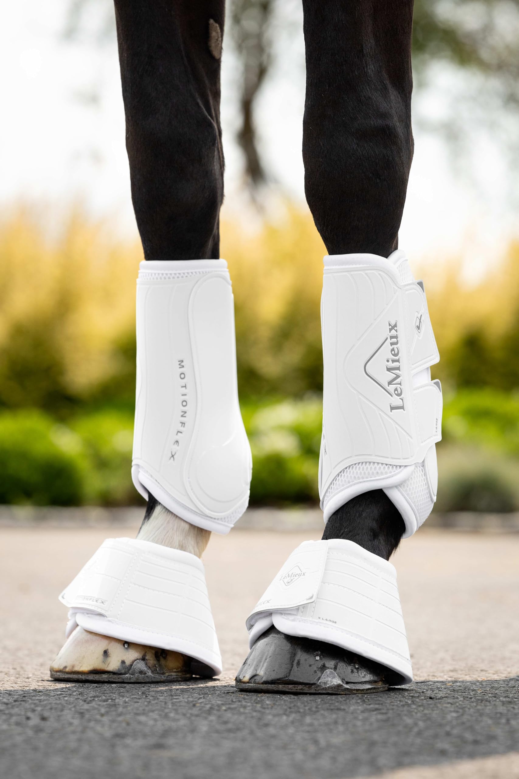 LeMieux Botas de doma Motionflex