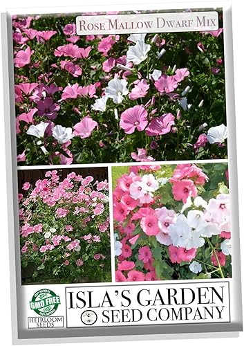 Semillas de flores de colores mixtas de malva rosa para plantar, más de 100 semillas por paquete, semillas de jardín de Isla (semillas de jardín de