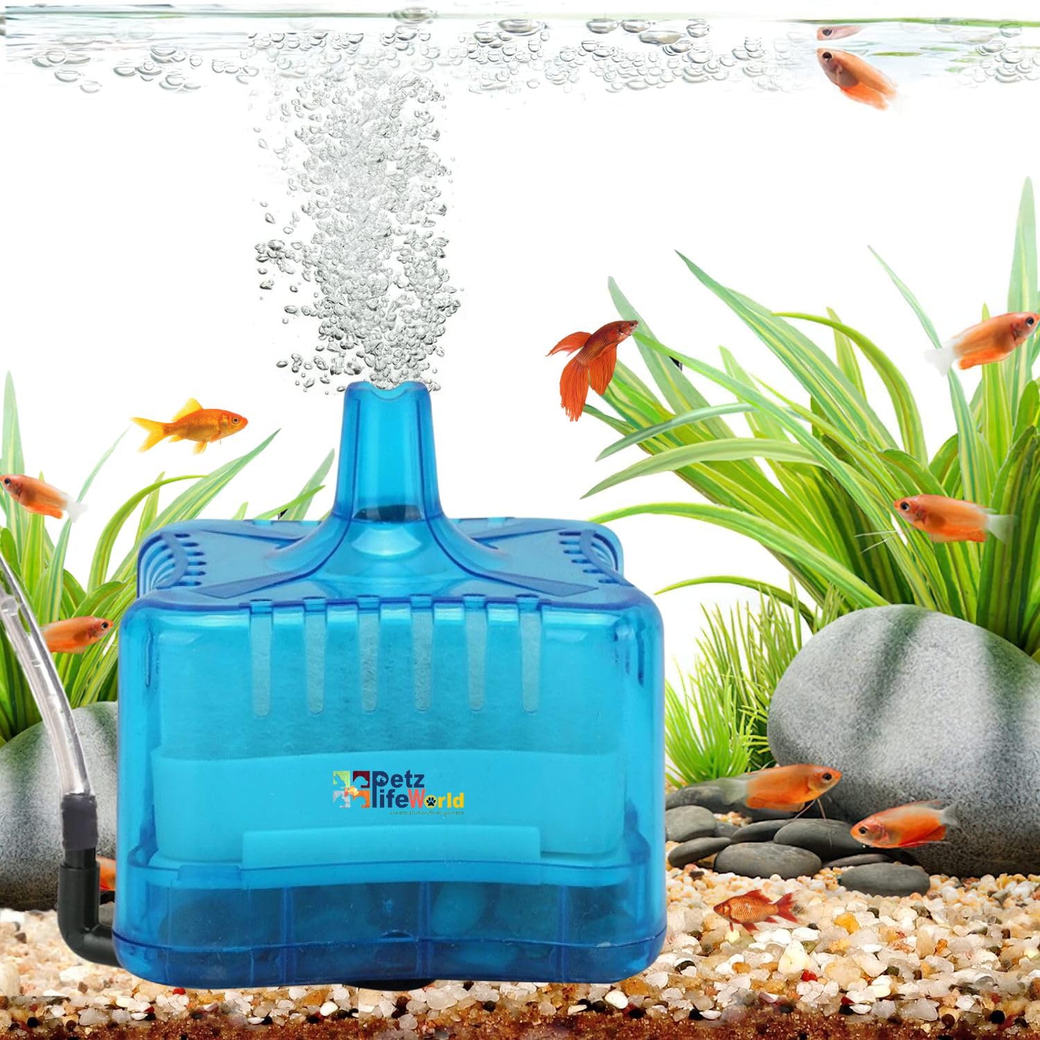 VAYINATO® Mini Bio Sponge Filter for Small Aquarium Fish Tank and Bowl | Random Colour Transparent Clear Or Blue (Airpump Not Included) by Petzlifeworld (B0B2543DB9) Amazon Price History, Amazon Price Tracker