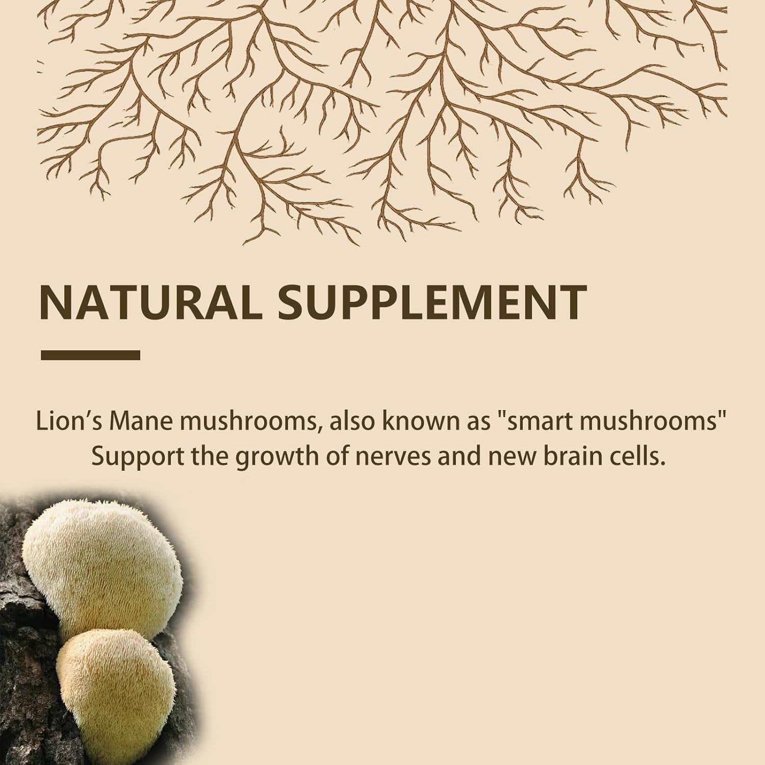 Lion's Mane Powder, Lions Mane Mushroom, Brain Health Support Supplement, Mushroom Supplement for Mental Clarity, Cognition and Immunity, 9.17oz - Image 4