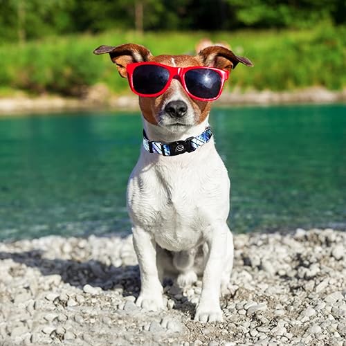 Miniatura 7 de Collar de perro personalizado collar de perro para perros pequeños medianos y niños y niñas, collares ajustables para cachorros, collar de perro de