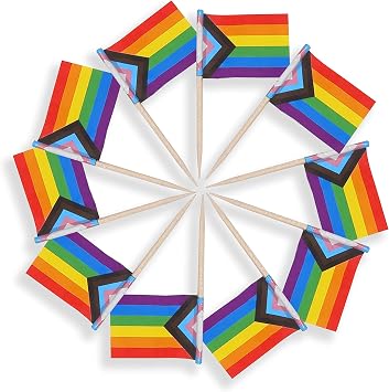 CANTENDO 100 Pcs Rainbow Pride toothpick Flag,Gay LGBTQ Mini toothpick flag Cupcake Toppers Flags Decoration