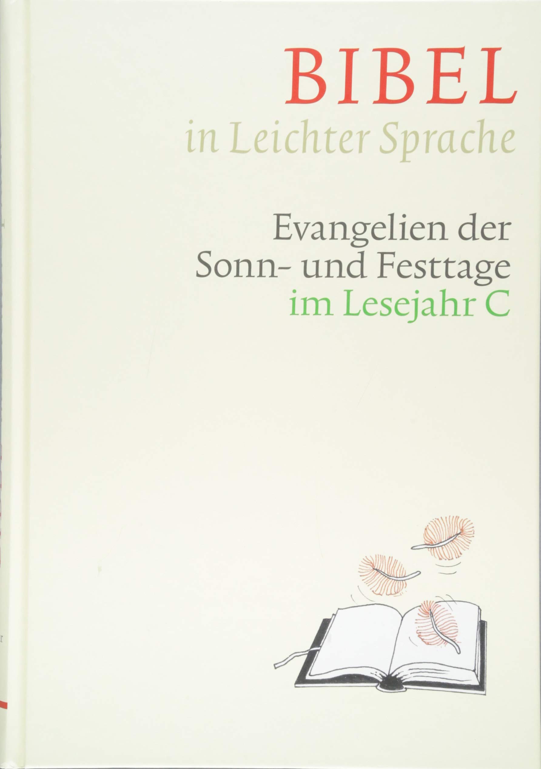 Bibel in Leichter Sprache: Evangelien der Sonn- und Festtage im Lesejahr C