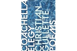 Coachella Elegy: A Memoir of Music and Loss