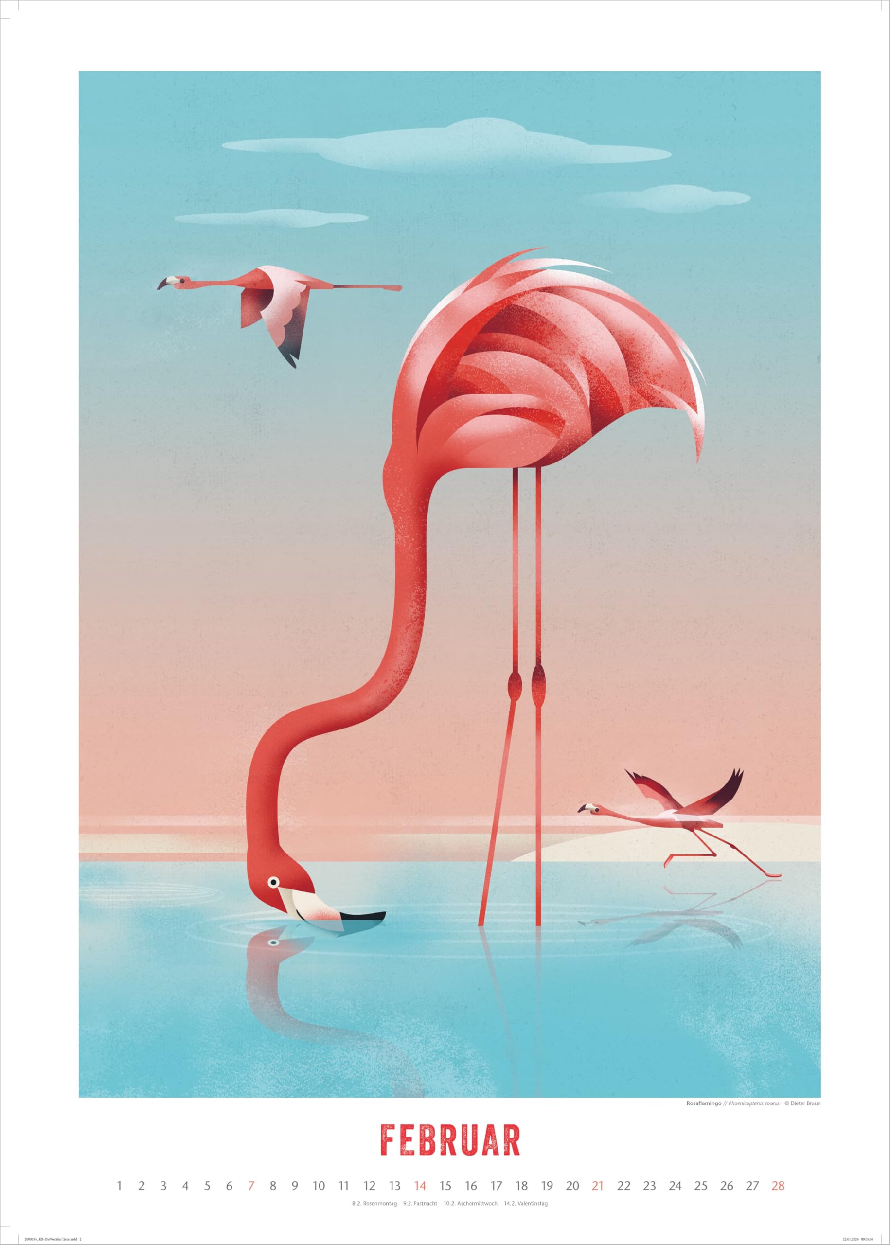 Die Welt der Tiere 2027: Wandkalender 50 x 70 cm mit einzigartigen Tier-Illustrationen und Spiralbindung