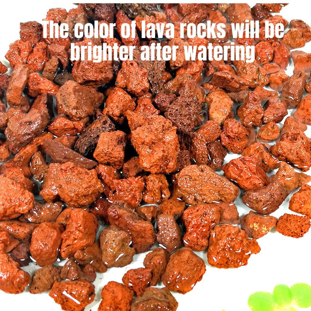Red Lava Stone for Aquariums & Home Decor -7