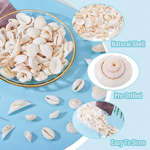 Vista 134 de Cheriswelry 50 cuentas de concha galvanizadas, conchas de cauri en espiral, conchas de mar, verano, playa, cuentas espaciadoras sueltas