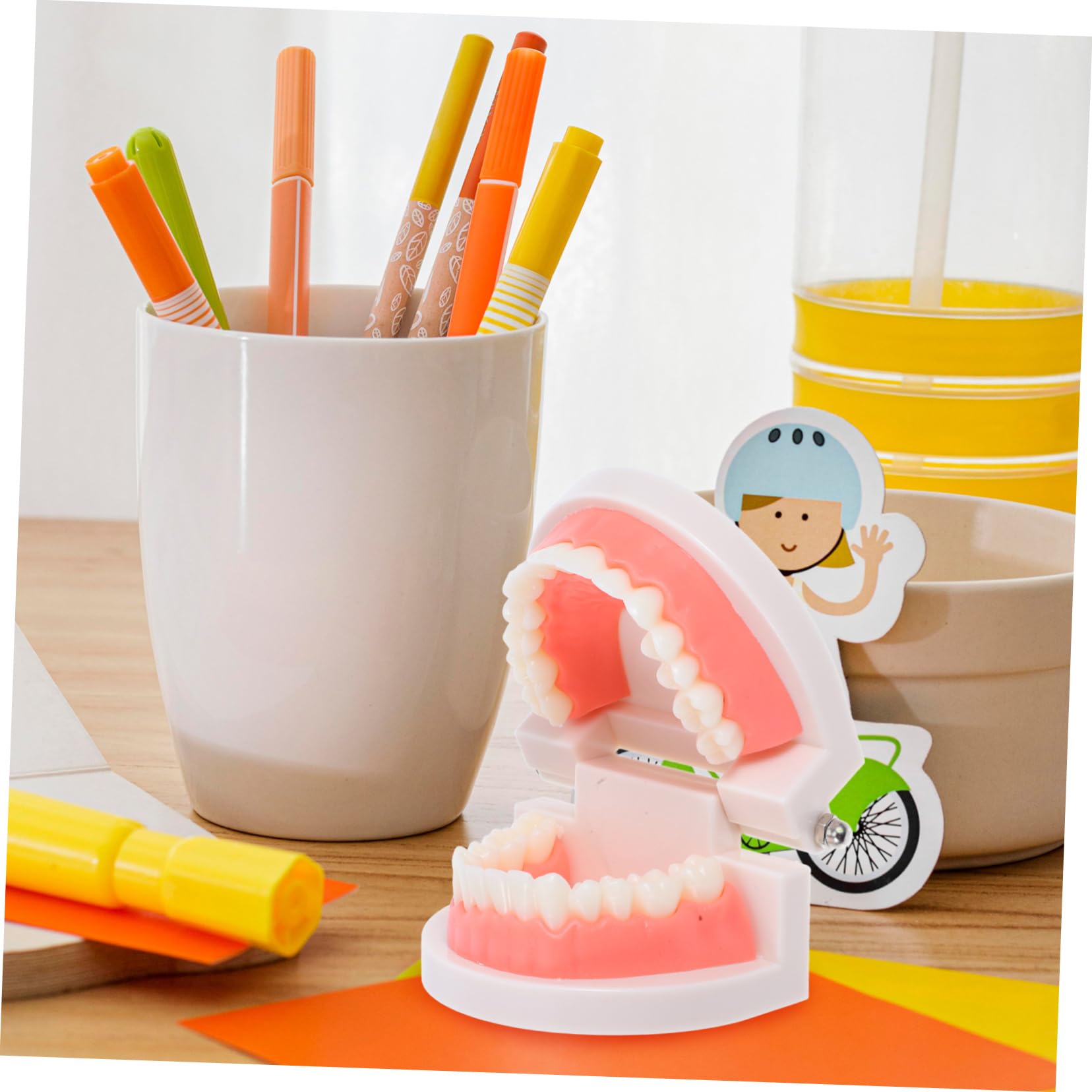 Mobestech Modèle Éducatif de Dents D'garçon et Filles Anatomiquement Correct pour Apprentissage en Maternelle, Modèle Oral Solide et Interactif pour Démonstration du Brossage et Hygiène