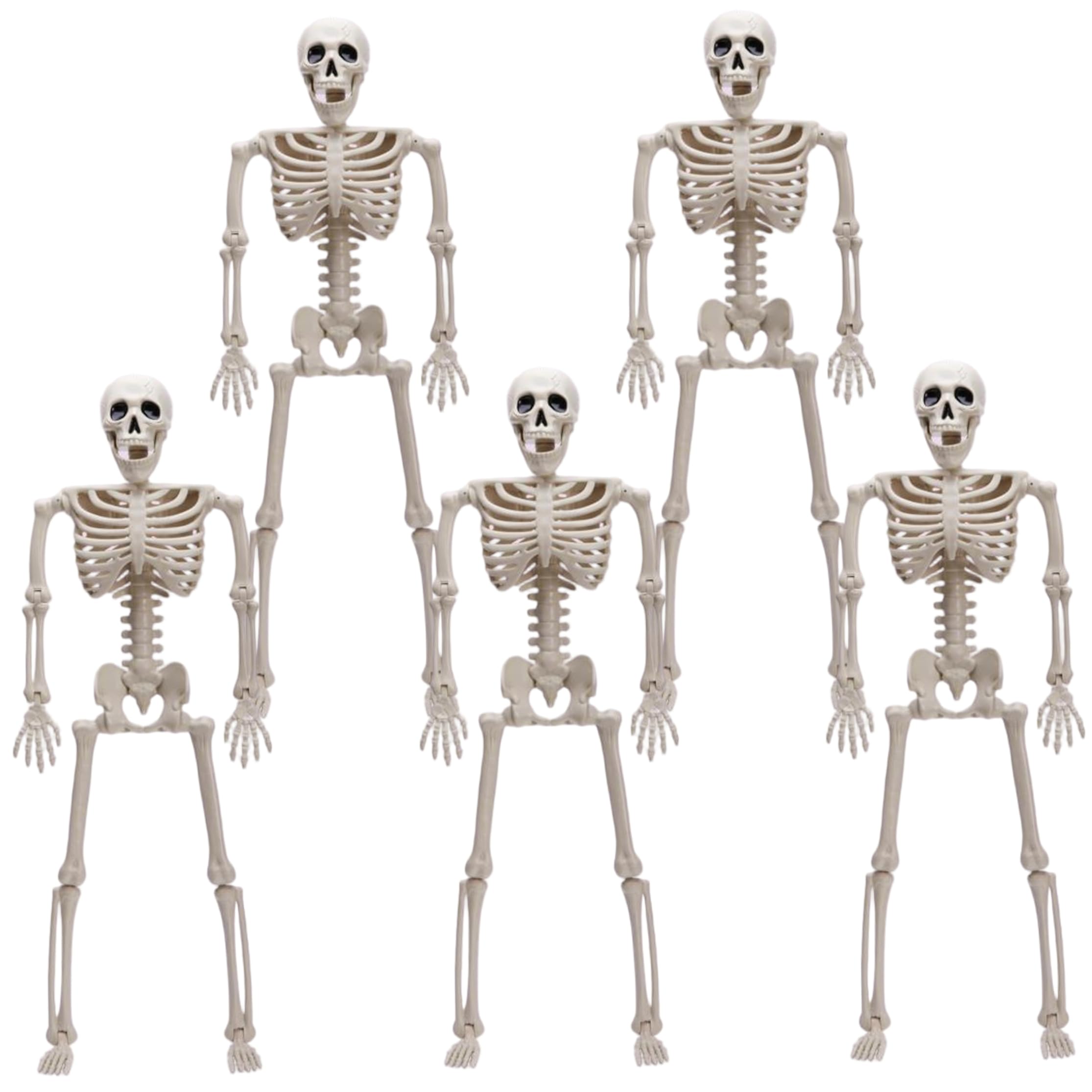 Xdyyjrasa Skeleton Decor - 5pcs Posable Plastic Skeleton with Flexible Joints, Gray 15.75in Halloween