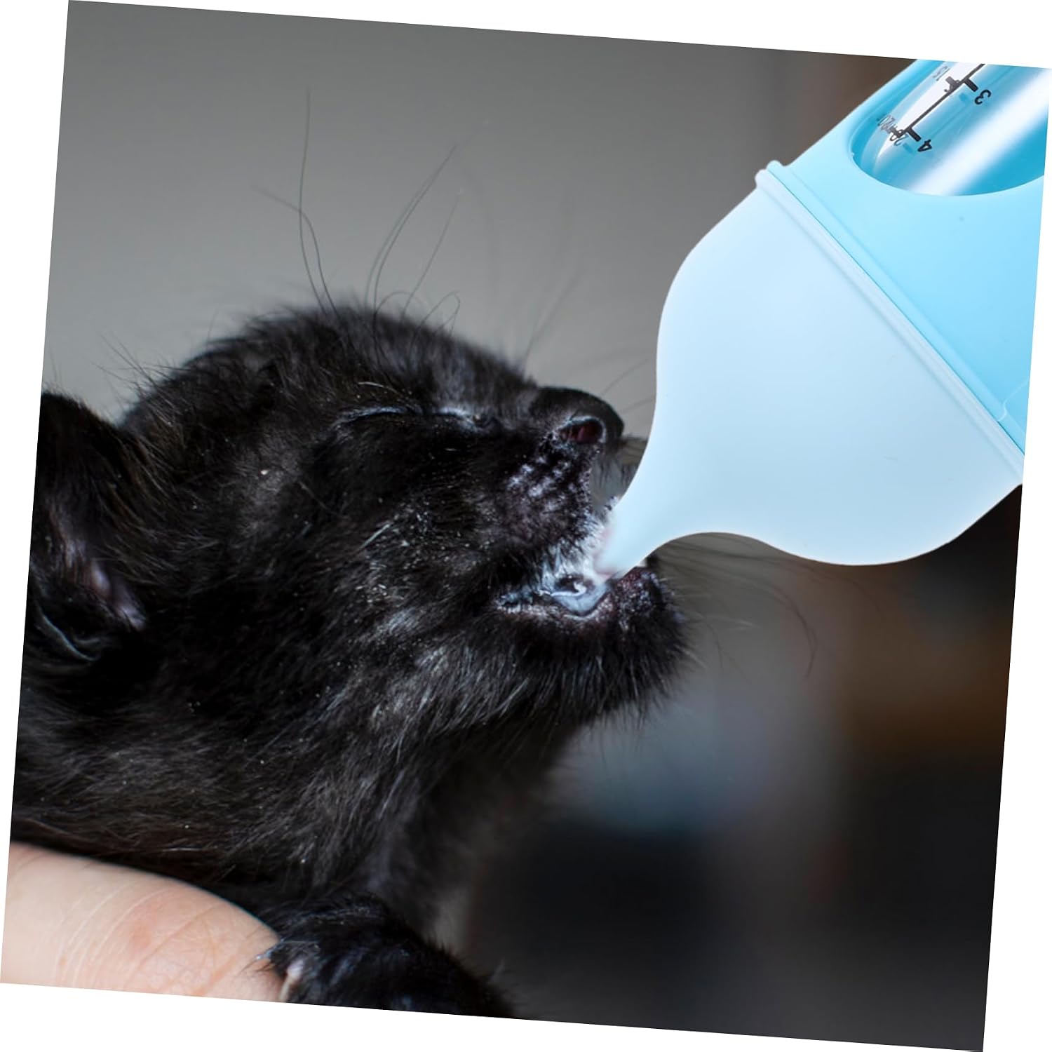 MERRYHAPY Pet Nursing Bottle for Kitten Puppy Feeding Portable Mini Feeder Visible Easy to Clean