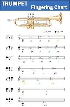 QMG Trumpet Fingering Chart with Color-Coded Notes, Learn Trumpet Technique Suitable for All Levels, Made in the USA