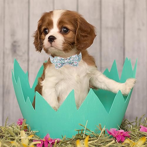 Miniatura 156 de Collar de perro con bandera estadounidense con pajarita, collar patriótico para perros pequeños, medianos y grandes, talla XS