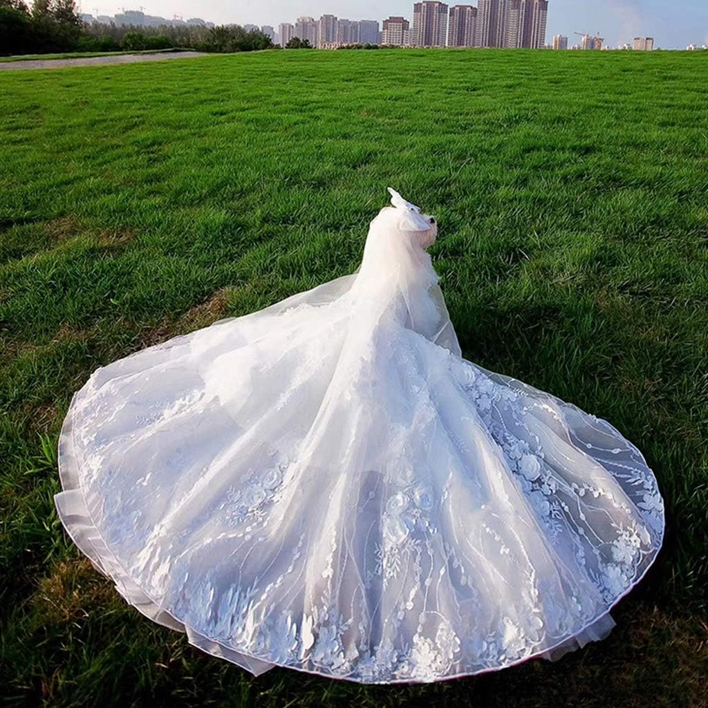 Pet Dog Dress Princess Trailing Wedding Dress for Small Dogs Handmade White Embroidery Lace Puppy Clothes Skirt Chihuahua (Size : X-Large) (Medium)