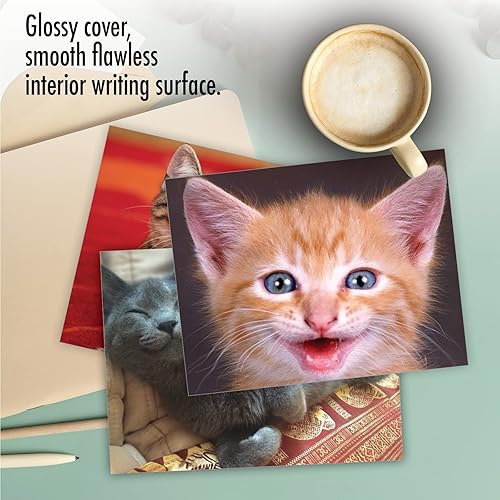 Miniatura 5 de The Best Card Company - 10 tarjetas de gato en blanco para todas las ocasiones (4 x 5.12 pulgadas) - Lindo juego de tarjetas a granel surtido -