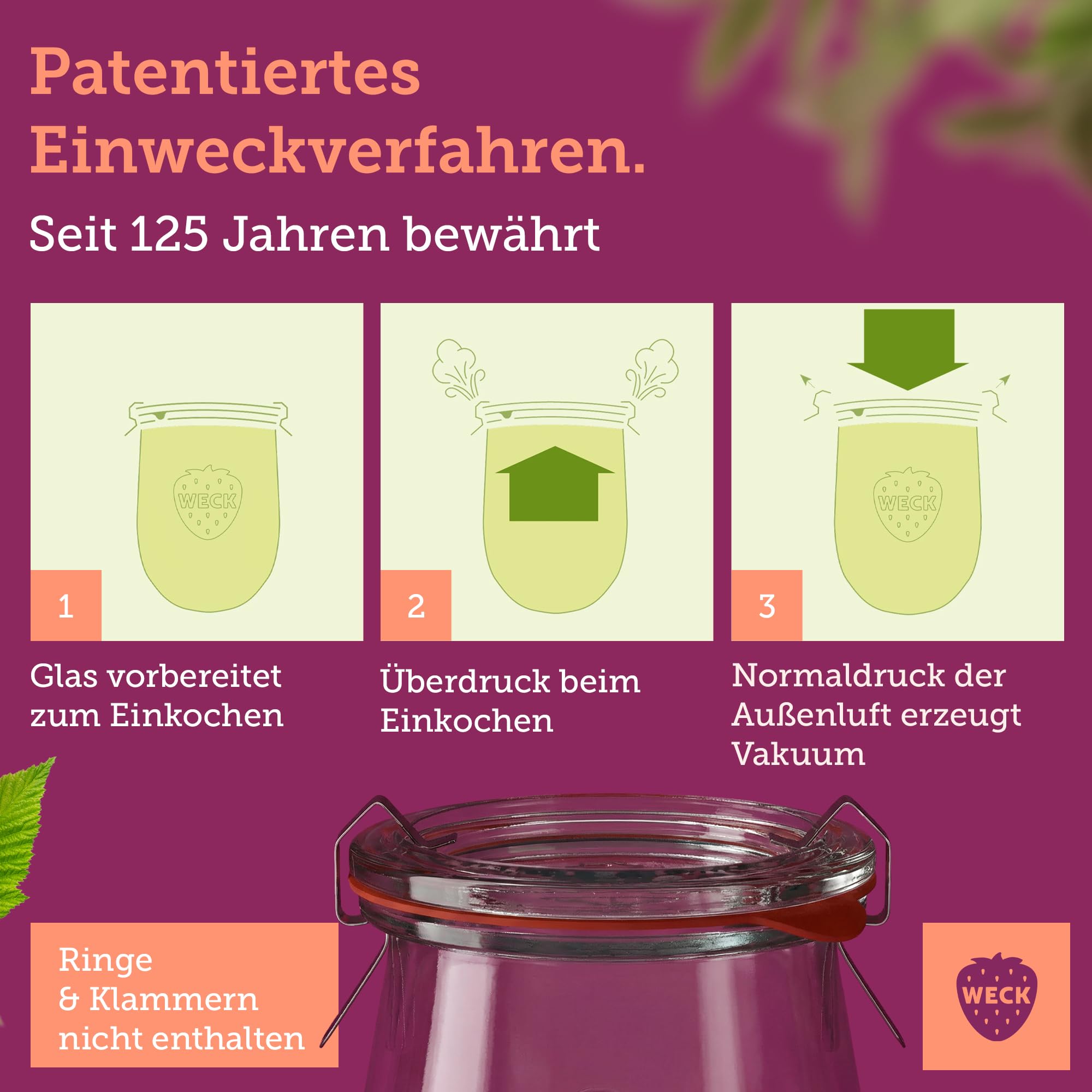 Weck Bicchieri da 290 ml – Set da 6 pezzi con coperchi – Forma a goccia – Bicchieri da dessert robusti e impilabili – vasetti per conserve – piccoli – vasetti per conserve ideali per dessert – Made in