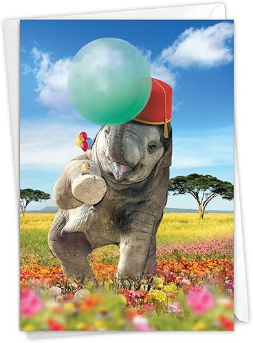 Miniatura 13 de The Best Card Company - Tarjetas de cumpleaños - Tarjetas de diario - Grupo C - TBCC, Uno Mundo C6840ABDG - Tarjeta de cumpleaños