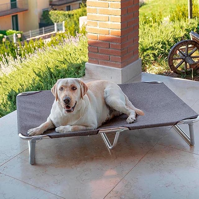 Foto 3 de 8 de Ferplast Feplast Cama elevada Plegable para Perros Dream 115