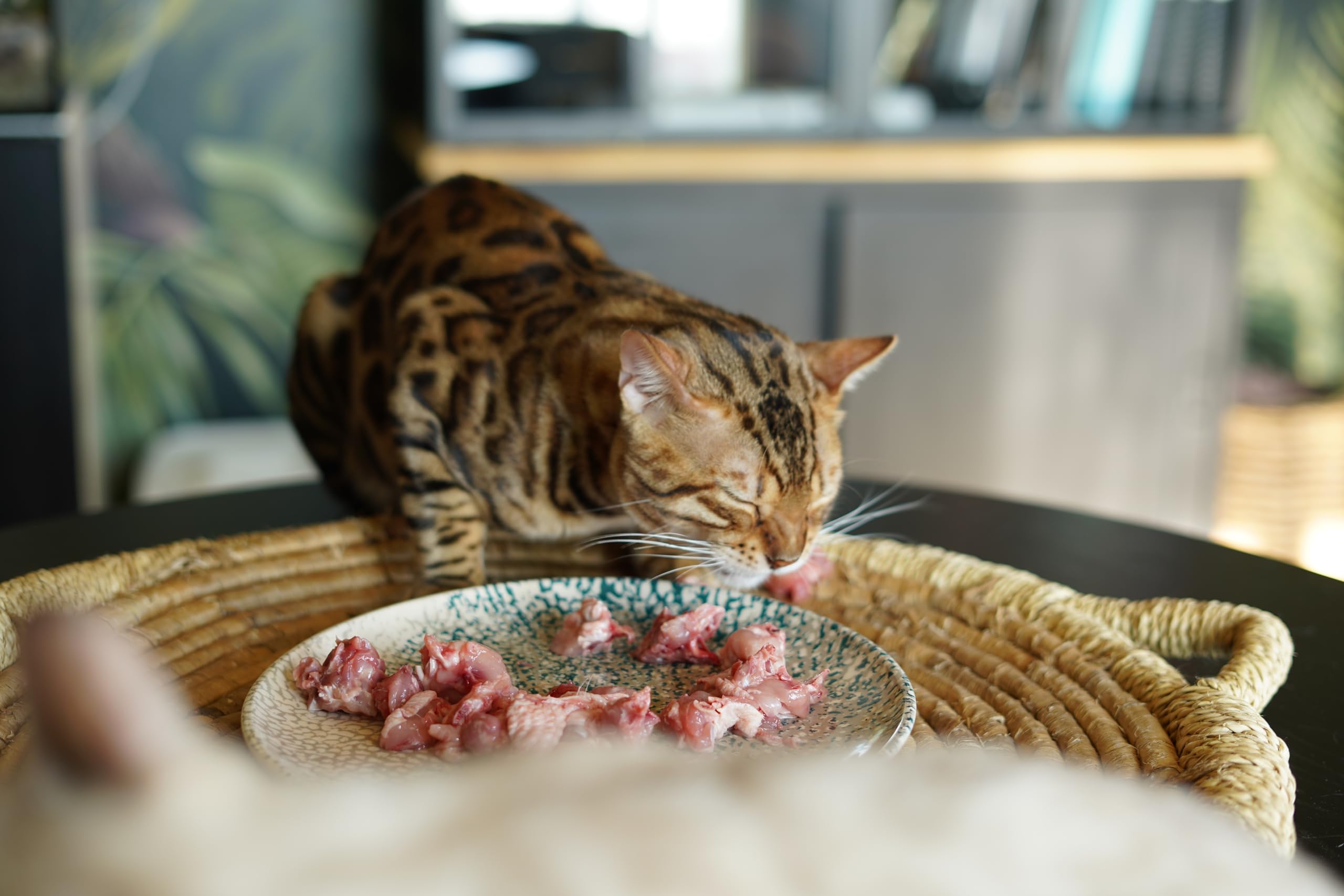 Feline Grow, Integratore complesso di 22 componenti per Gatti Bengala in periodi di crescita ed acopiamento, con la Taurina, Acido folico,Silimarina e L-Lysine, supporto imunitario