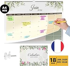 Finoly Wall Calendar July 25 December 26 (18 Months) A4 | Monthly Calendar 2025 2026 | Family Calendar 2025 | Wall Calendar with Mounting (Nature)