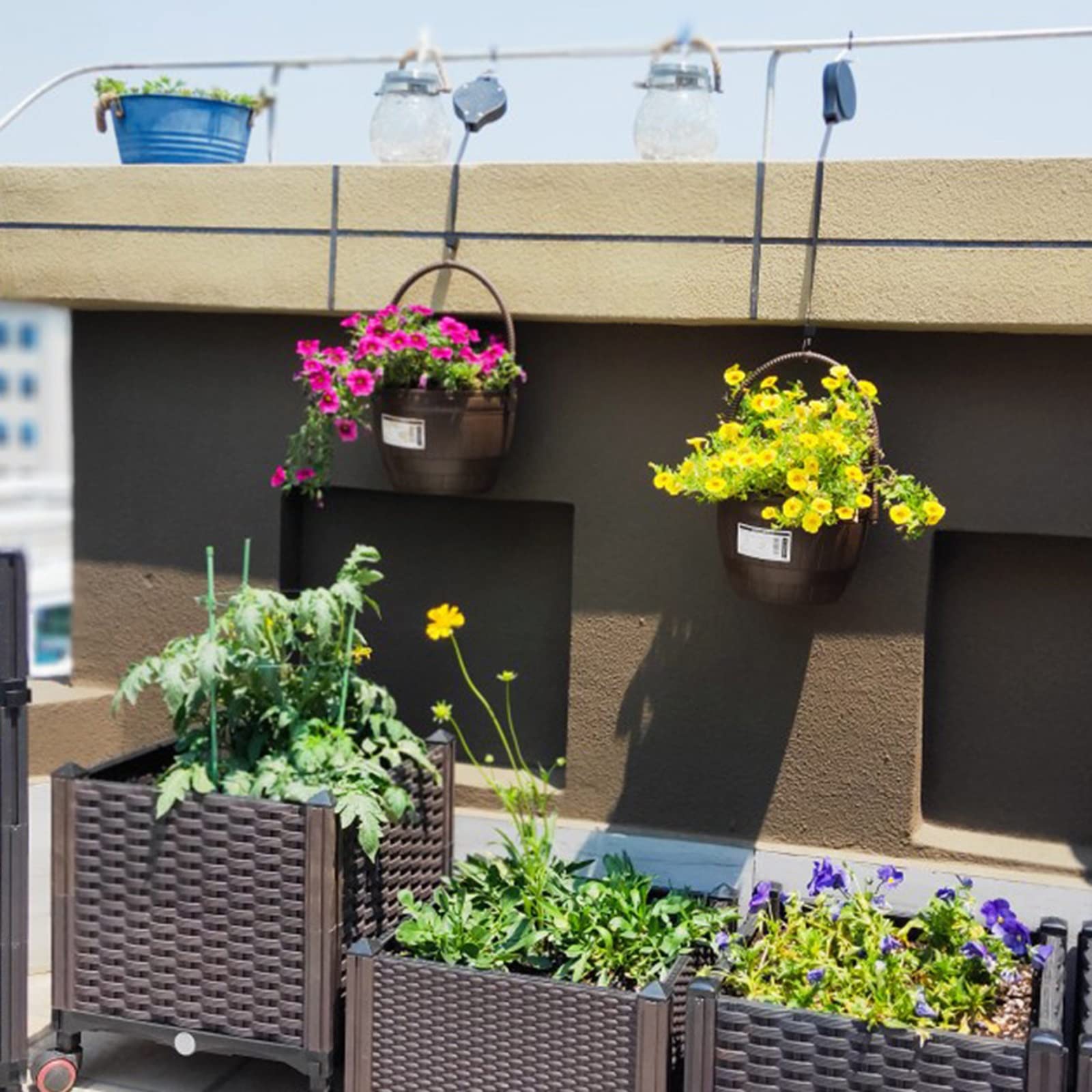 HASMI Jardiniere Balcon Jardinière Suspendue avec drainant Plug Rond en Plastique résine chaîne Panier Suspendu planteur de Fleurs Pots extérieurs Pot Suspendu Plante Interieur