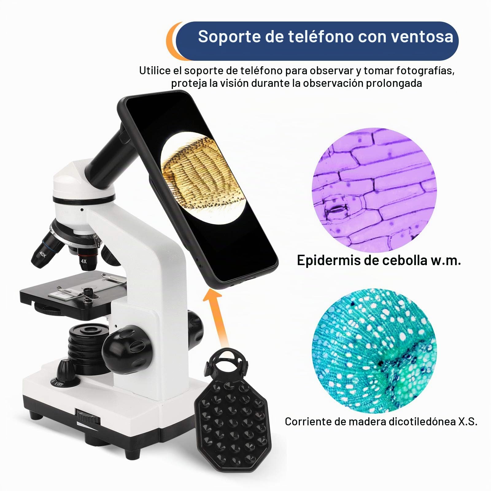 Microscopio para Niños 100X-1000X Microscopio Profesional Dual inalámbrico LED Iluminación Laboratorio Compuesto Microscopios monoculares con Lentes de Vidrio óptico y 15 Diapositivas