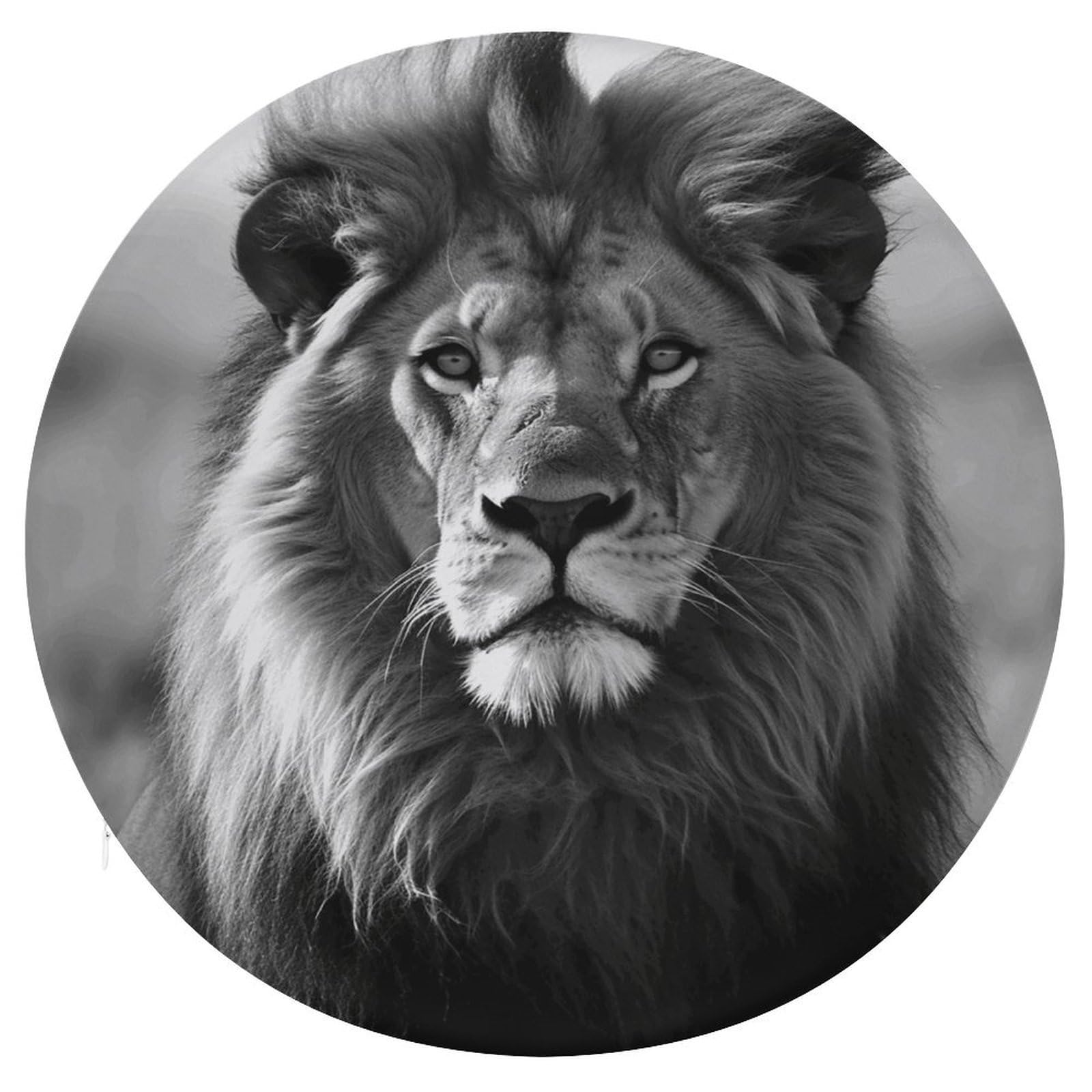 LZQPOEAS African Lion Black and White Round Chair Cushion 15 Inch, Detachable Memory Foam Seat Cushion,Circle Stool Cushion, Soft Round Chair Pad with Removable Cover
