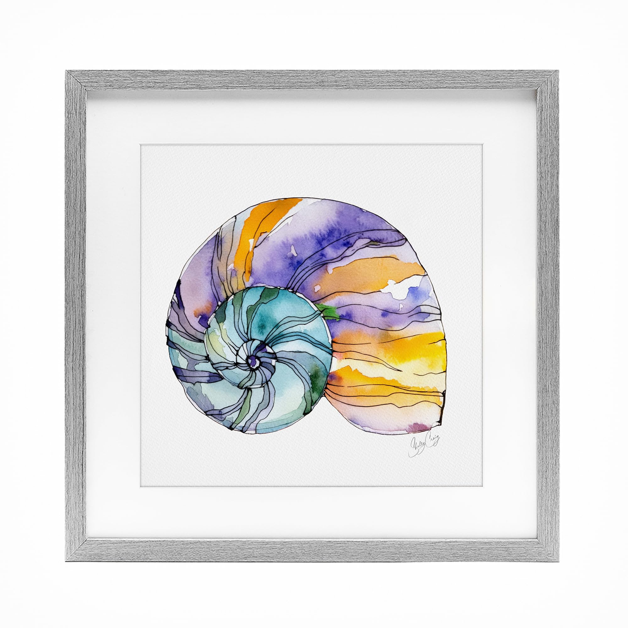 Stupell Industries Farmhouse Gray (Textured) 'Sunlit Striped Nautilus'| Framed Print Under Glass