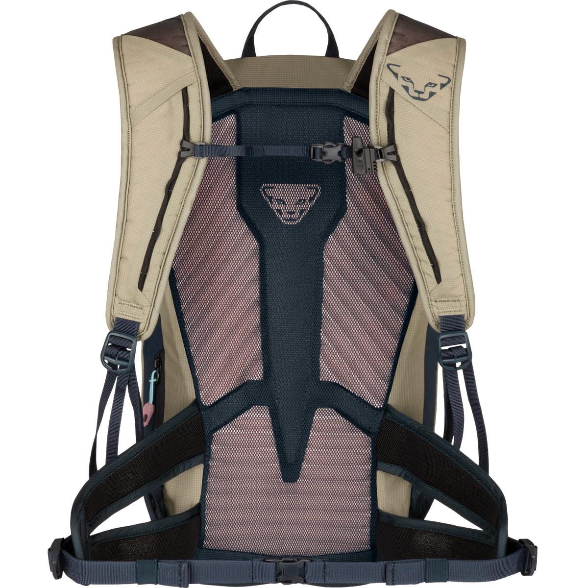 DYNAFIT TRANSALPER 22 Backpack W Rock Khaki/Blueberry