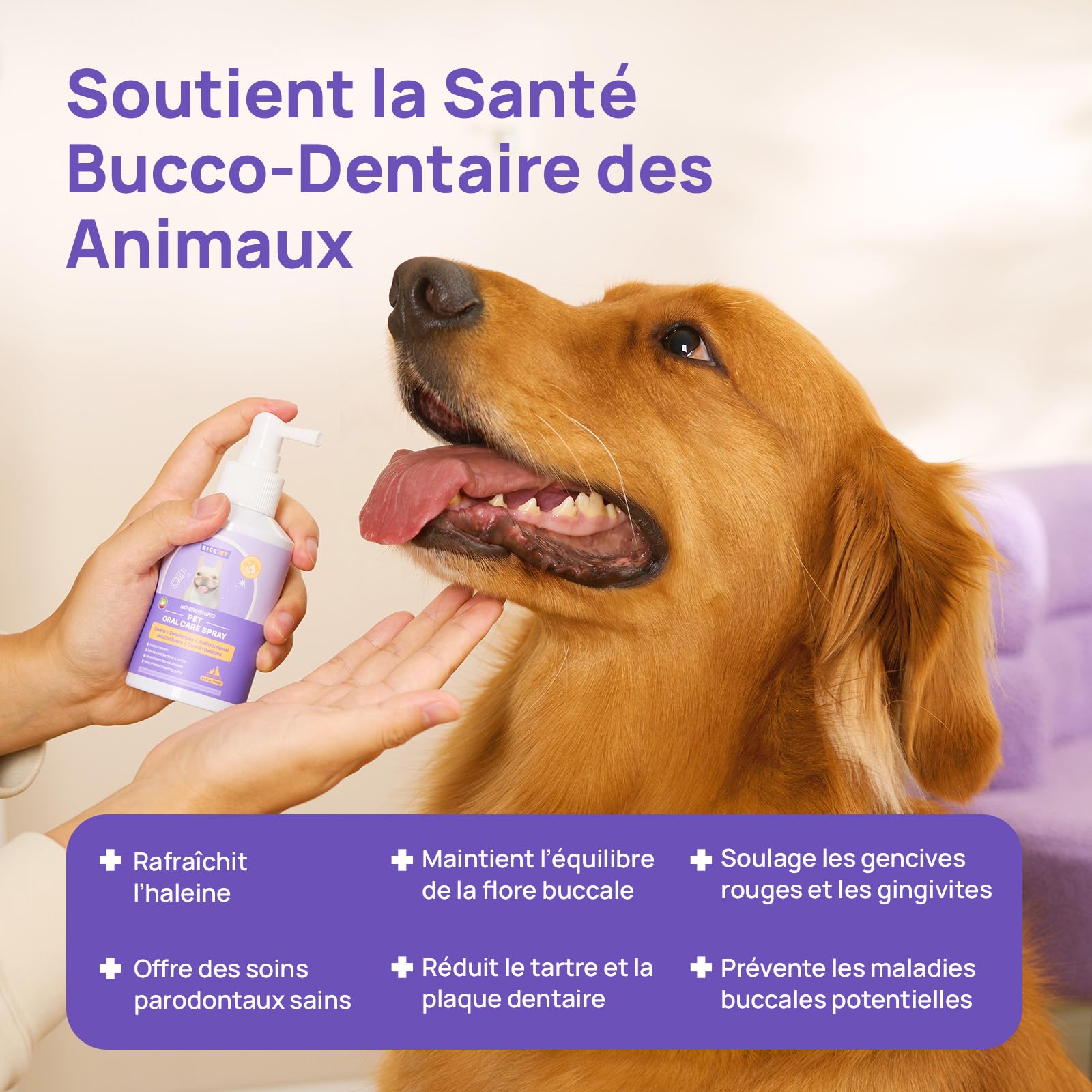 HICC PET Spray buccal pour Chiens & Chats, après Le Repas Contre la Mauvaise haleine, sans brossage, Soin Quotidien, 150 ML