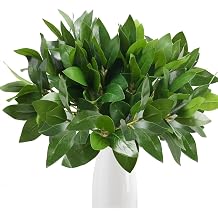 6 PCS Artificial Greenery Stems Magnolia Leaves Silk Greenery | Fake Green Leaves Silk Shrubs Bushes for Vase Fillers Home Wedding Party Kitchen Indoor Outdoor Decoration