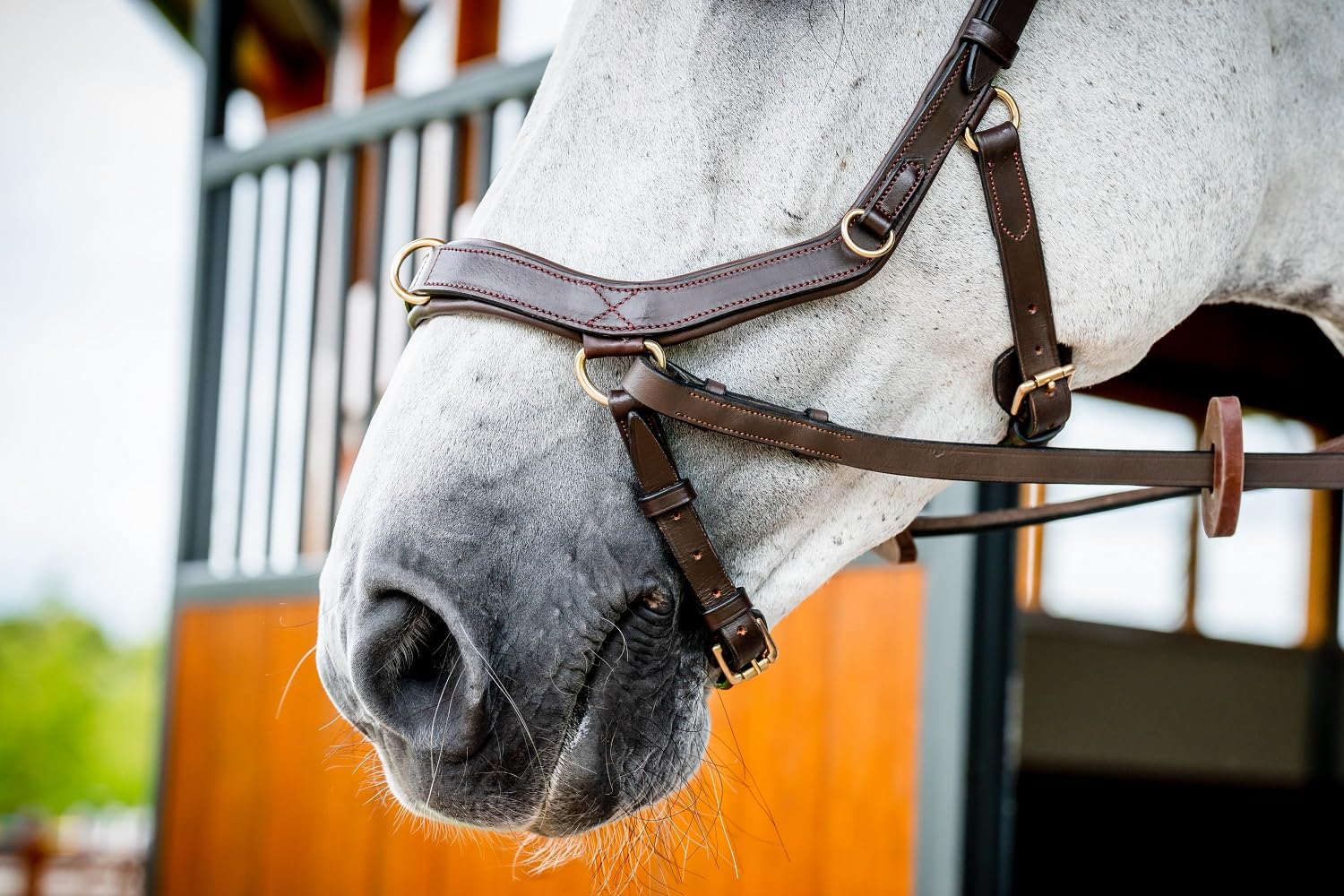 Horseware HW Micklem2 Multi Bridle, X-Warmblut, Dark Havanna