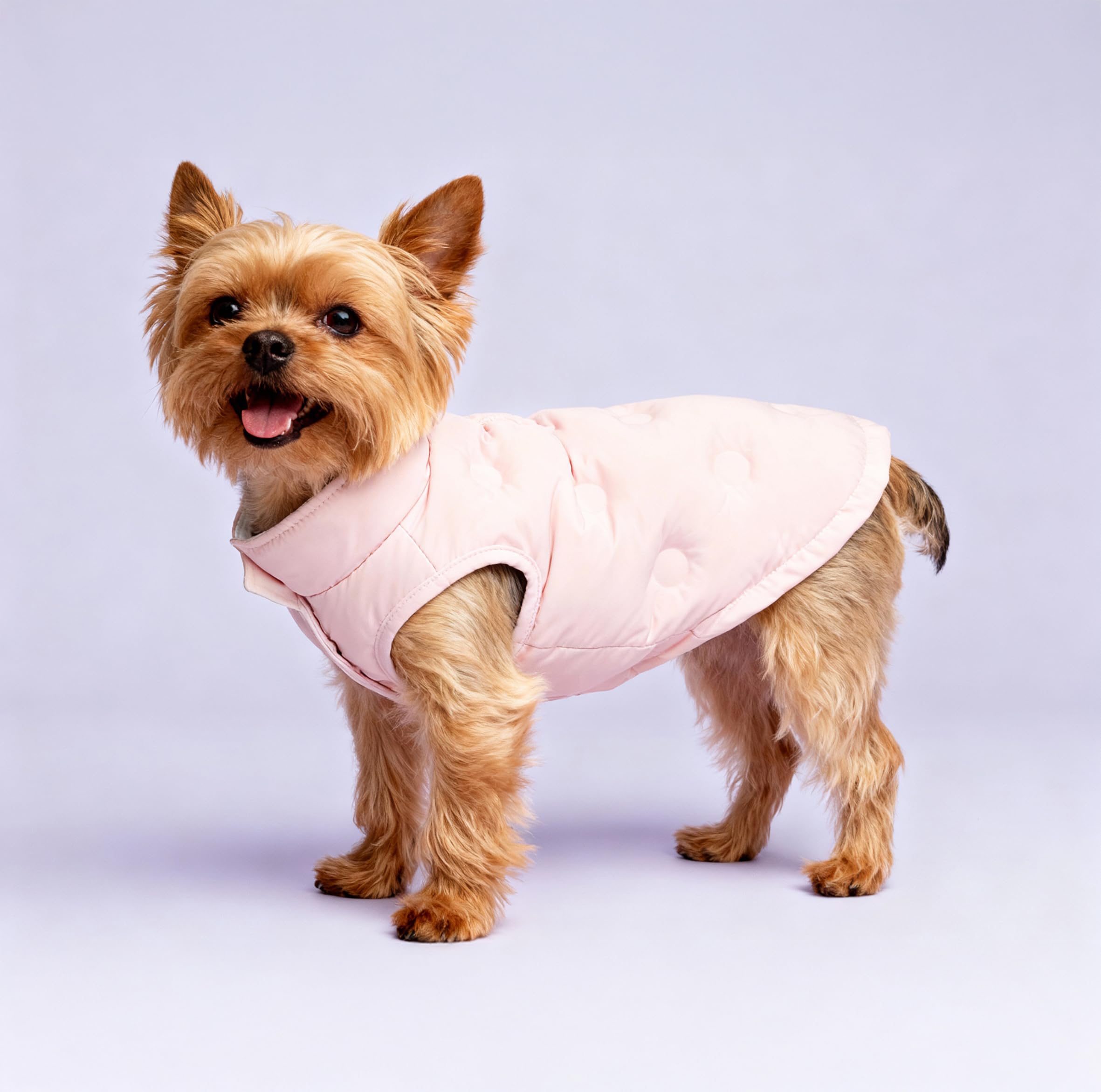 Record - Abrigo Sofi para Perros Impermeable para Perros con Estilo Romántico Acolchado Resistente al Agua con Cierre de Velcro y Agujero Correa | Rosa, XS