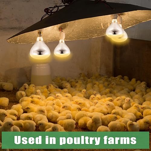 Vista 10 de VIHOSE Paquete de 2 lámparas de calor de 250 W, 120 V, R40, bombillas incandescentes de vidrio, bombillas de calefacción incandescentes para Plateado