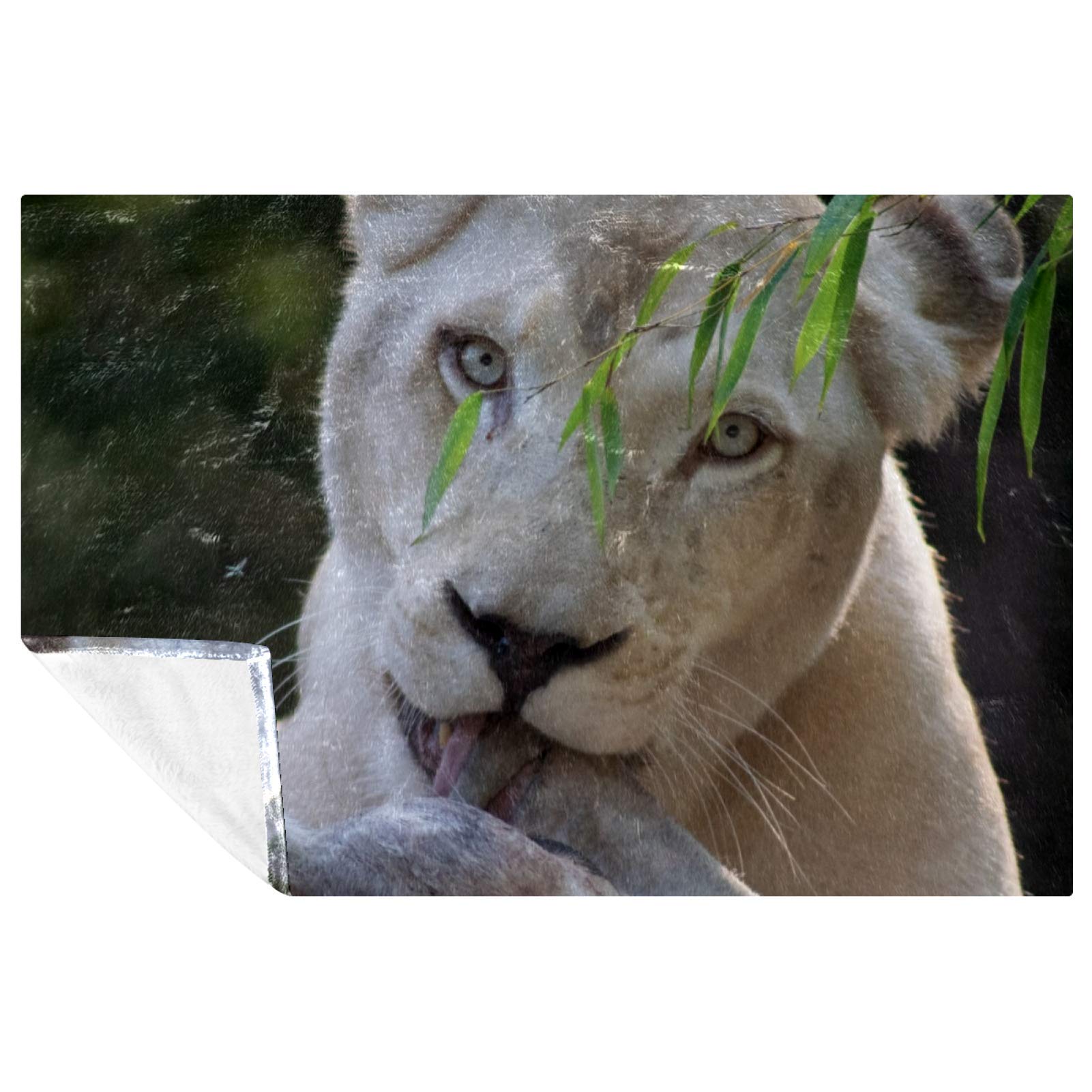 Couverture lion blanc pour partager des moments tendres et chaleureux en famille