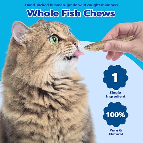 Miniatura 2 de Amzey Minnows - 7 onzas liofilizadas - Golosinas para gatos 100% naturales de primera calidad - Minnows Treats - Minnows liofilizado para gatos y