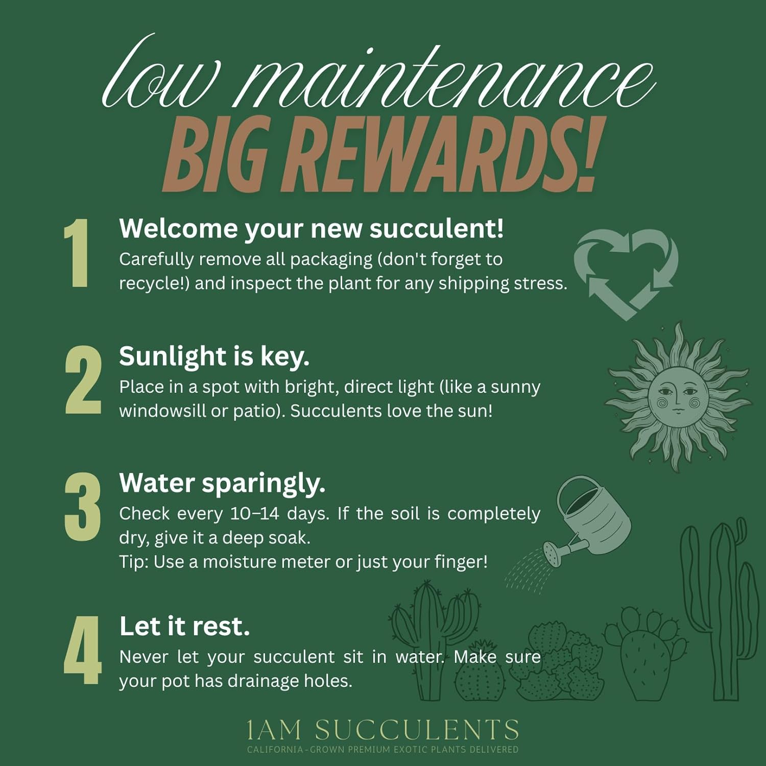 Adenium Obesum Desert Rose Live Plant – Flowering Caudex Succulent – Pink White Blooms – Indoor Outdoor Bonsai-Style Plant (Pack of 6)