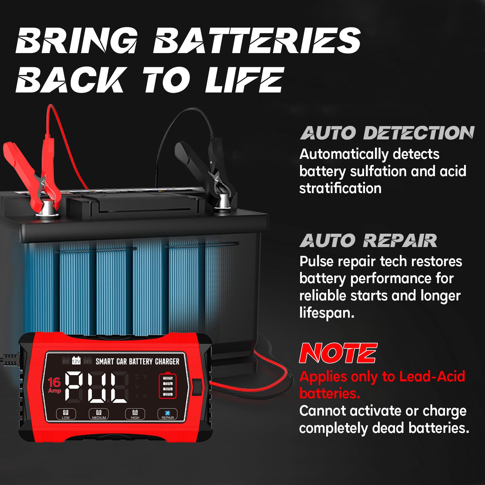 LiFePO4 - Caricabatteria da auto da 16 A, 6 V/12 V/24 V, con display LCD, compensazione della temperatura, modalità di riparazione per batterie auto, auto, barche