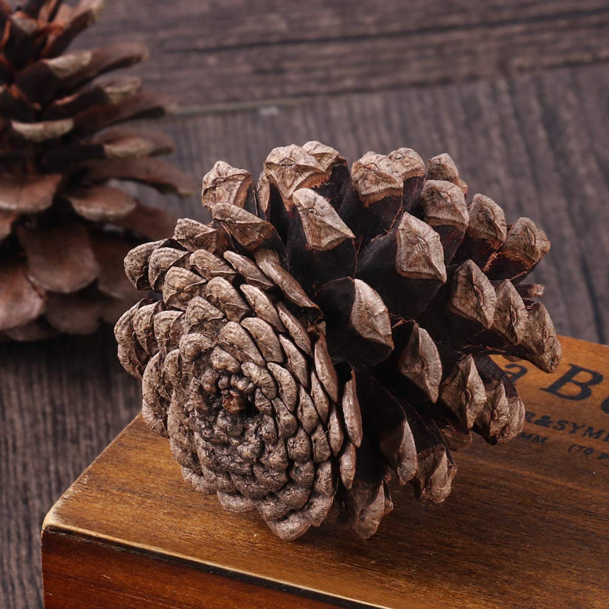 50 Natürliche Tannenzapfen 6-8cm Weihnachtsbaumschmuck | Wiederverwendbar, für Winter und Weihnachten, Geeignet für Vitrine und Küche