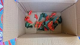 Review Image by Katherine Clarich Katherine Clarich